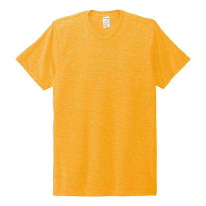 IB2527 Unisex Tri-Blend Tee